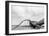 Fallen Tree on the Beach after Storm. Sea on a Cloudy Day. Black and White, far Horizon.-Michal Bednarek-Framed Photographic Print