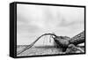 Fallen Tree on the Beach after Storm. Sea on a Cloudy Day. Black and White, far Horizon.-Michal Bednarek-Framed Stretched Canvas