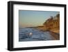 Fallen Trees in the Surge on the Western Beach of Darss Peninsula-Uwe Steffens-Framed Photographic Print