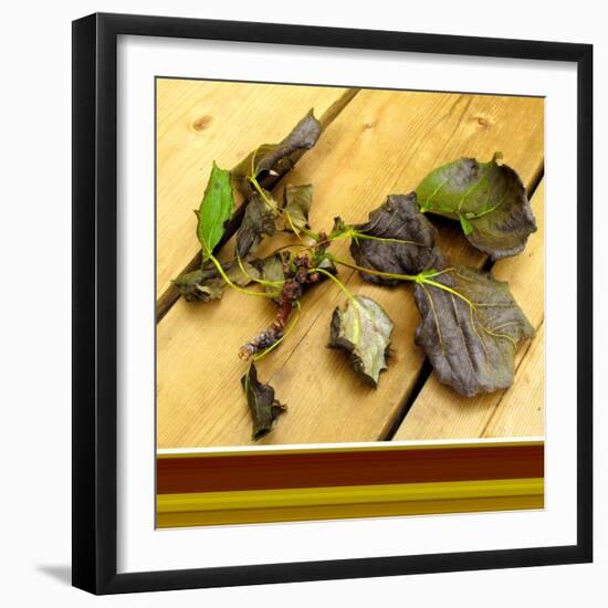 Fallen-Ruth Palmer-Framed Art Print