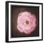 Fallin' All in You-Philippe Sainte-Laudy-Framed Photographic Print