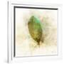 Falling Birch Leaf-Ken Roko-Framed Art Print