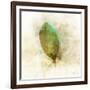 Falling Birch Leaf-Ken Roko-Framed Art Print