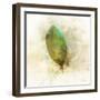 Falling Birch Leaf-Ken Roko-Framed Art Print