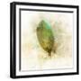 Falling Birch Leaf-Ken Roko-Framed Art Print