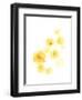 Falling Blossoms IV-June Vess-Framed Art Print