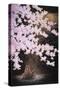 Falling Cherry Blossoms-Joh Naito-Stretched Canvas
