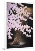 Falling Cherry Blossoms-Joh Naito-Framed Giclee Print