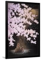 Falling Cherry Blossoms-Joh Naito-Framed Giclee Print