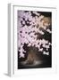 Falling Cherry Blossoms-Joh Naito-Framed Giclee Print