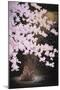 Falling Cherry Blossoms-Joh Naito-Mounted Premium Giclee Print