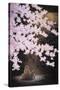 Falling Cherry Blossoms-Joh Naito-Stretched Canvas