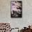 Falling Cherry Blossoms-Joh Naito-Framed Stretched Canvas displayed on a wall