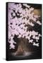 Falling Cherry Blossoms-Joh Naito-Framed Stretched Canvas