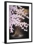 Falling Cherry Blossoms-Joh Naito-Framed Giclee Print