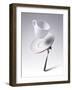 Falling Coffee Cup With Spoon And Saucer-adnrey-Framed Photographic Print