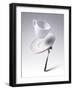 Falling Coffee Cup With Spoon And Saucer-adnrey-Framed Photographic Print