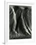 Falling Dune Wall, White Sands, 1975-Brett Weston-Framed Photographic Print