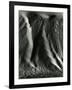 Falling Dune Wall, White Sands, 1975-Brett Weston-Framed Photographic Print