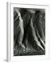 Falling Dune Wall, White Sands, 1975-Brett Weston-Framed Photographic Print