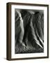 Falling Dune Wall, White Sands, 1975-Brett Weston-Framed Photographic Print