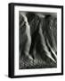 Falling Dune Wall, White Sands, 1975-Brett Weston-Framed Photographic Print