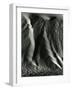 Falling Dune Wall, White Sands, 1975-Brett Weston-Framed Photographic Print