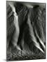 Falling Dune Wall, White Sands, 1975-Brett Weston-Mounted Photographic Print