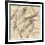 Falling Feathers-Albena Hristova-Framed Art Print