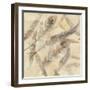 Falling Feathers-Albena Hristova-Framed Art Print