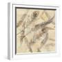 Falling Feathers-Albena Hristova-Framed Art Print