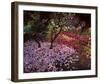 Falling Flowers-Bent Rej-Framed Giclee Print