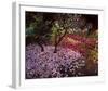 Falling Flowers-Bent Rej-Framed Giclee Print