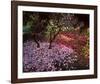 Falling Flowers-Bent Rej-Framed Giclee Print