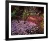 Falling Flowers-Bent Rej-Framed Giclee Print