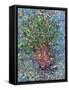 Falling Flowers-James W Johnson-Framed Stretched Canvas