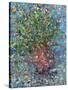 Falling Flowers-James W Johnson-Stretched Canvas