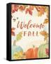 Falling for Fall VI v2-Beth Grove-Framed Stretched Canvas