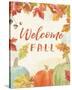 Falling for Fall VI v2-Beth Grove-Stretched Canvas