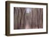 Falling From Heaven-Jacob Berghoef-Framed Photographic Print