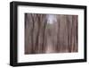 Falling From Heaven-Jacob Berghoef-Framed Photographic Print