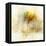 Falling Ginko Leaf-Ken Roko-Framed Stretched Canvas