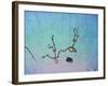 Falling in Love-James W. Johnson-Framed Giclee Print