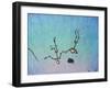 Falling in Love-James W. Johnson-Framed Giclee Print