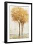 Falling Leaves II-Tim O'toole-Framed Art Print