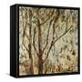 Falling Leaves-Jodi Maas-Framed Stretched Canvas