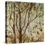 Falling Leaves-Jodi Maas-Stretched Canvas