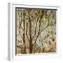 Falling Leaves-Jodi Maas-Framed Giclee Print