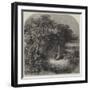 Falling Leaves-null-Framed Giclee Print