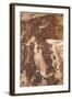 Falling Man Petroglyph, Gold Butte, Nevada, United States of America, North America-James Hager-Framed Photographic Print